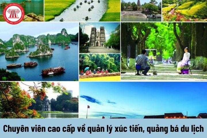 Làm Chủ Video Ngắn: Bí Quyết Thành Công Cùng Hotspot Matrix