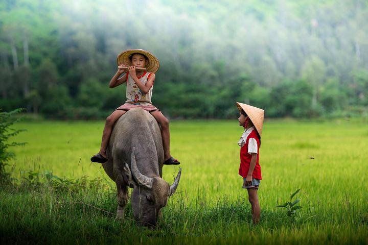 Video Ngắn Triệu Đô: Hotspot Matrix - Chìa Khóa Thành Công